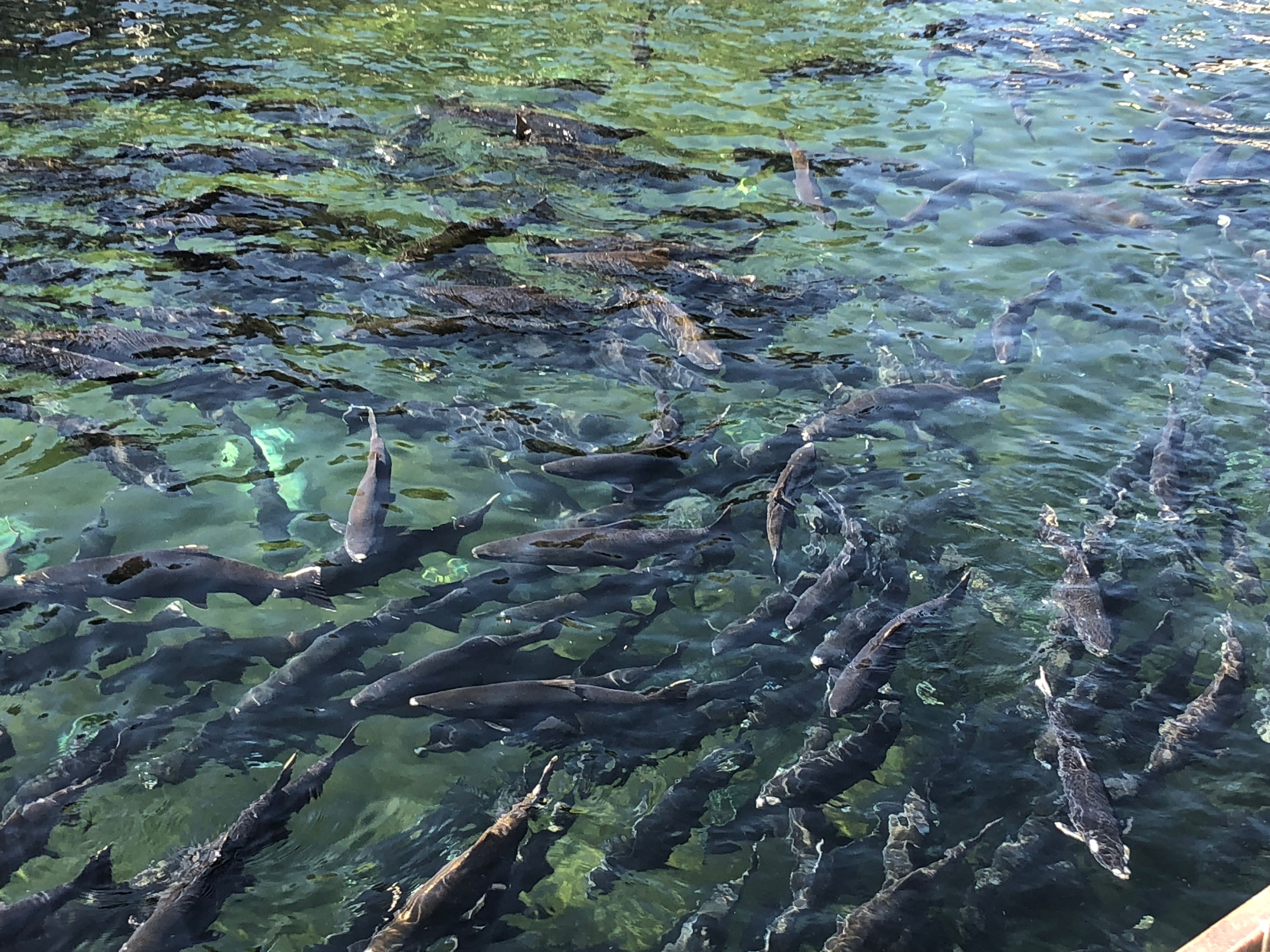 July 12, 2022 Membership Meeting Minutes